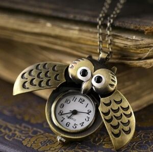 New beautiful owl bird pocket watch With Battery